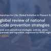 A Global Review of National Suicide Prevention Strategies