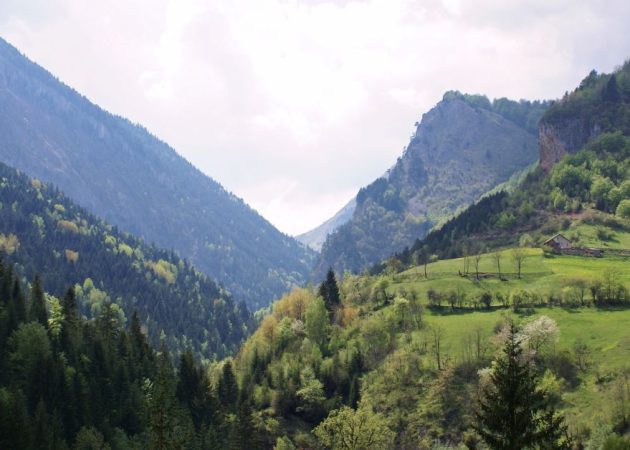 From Grassroots to Policy – The Case for Kosovo