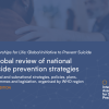 A Global Review of National Suicide Prevention Strategies