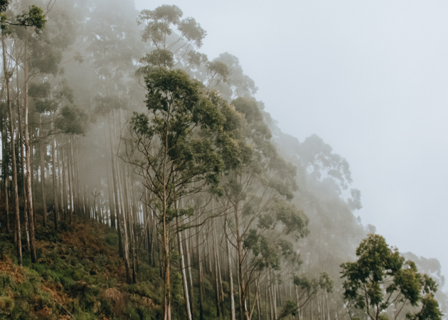 IASP Climate Change & Suicidality SIG Publishes Letter in The Lancet Planetary Health