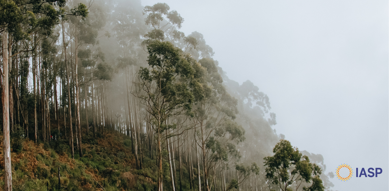 IASP Climate Change and Suicidality SIG Publishes Letter in The Lancet Planetary Health