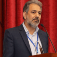 Professor Mohsen Rezaeian