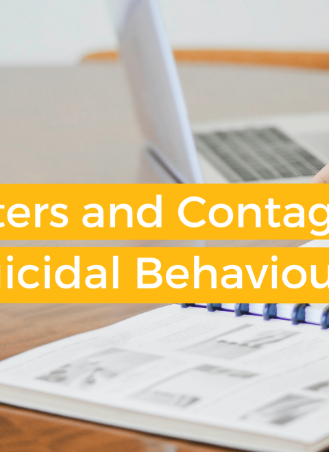 Clusters and Contagion in Suicidal Behaviour