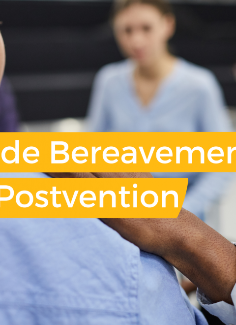 Suicide Bereavement and Postvention
