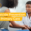 Suicide Prevention in Primary Care SIG