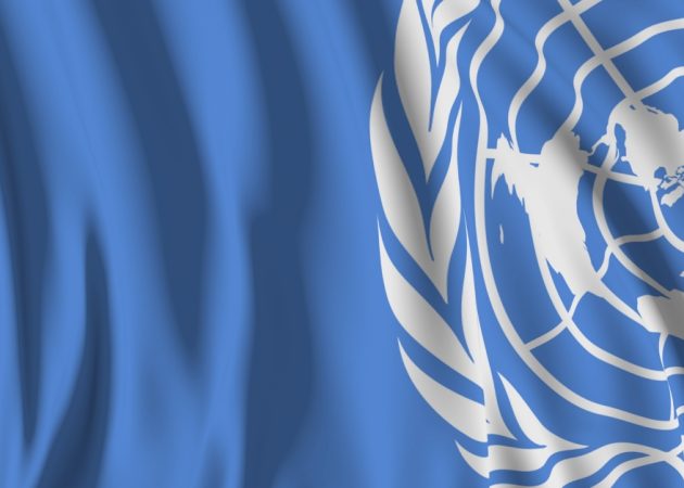 UN High-Level Meeting on NCDs and Mental Health